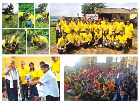 Tree Plantation