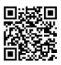 IESBA Code 