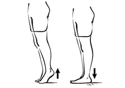 Exercises 5